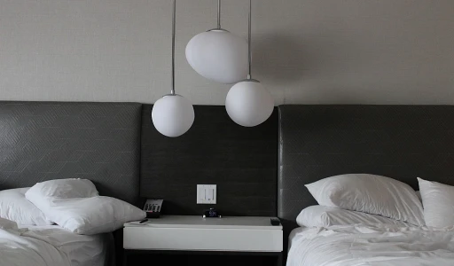 Pet-friendly Practices: Turning Furpals into V.I.Ps in Boutique Hotels